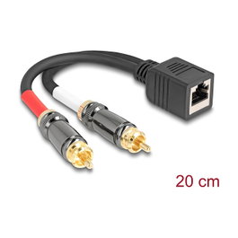 DeLOCK 88172 Cable adaptador RJ45 hembra a 2 x RCA macho negro 20 cm