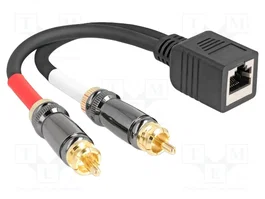 DeLOCK 88172 Cable adaptador RJ45 hembra a 2 x RCA macho negro 20 cm