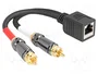 DeLOCK 88172 Cable adaptador RJ45 hembra a 2 x RCA macho negro 20 cm