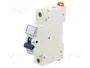 GEWISS Interruptor magnetotérmico MT 60 1P 25A 6kA