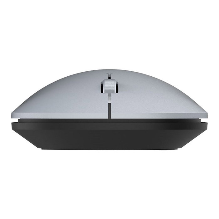 Terra Wortmann TERRA NBM1000S Ratón Inalámbrico Plata Terra Wortmann TERRA NBM1000S Ratón Inalámbrico Plata
