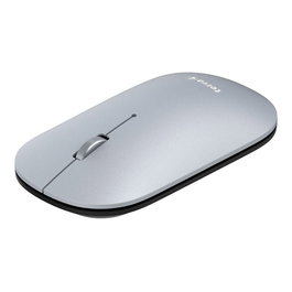 Terra Wortmann TERRA NBM1000S Ratón Inalámbrico Plata