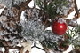 DKD Home Decor Decoración Colgante de Estrella con Piñas y Acabado Nevado