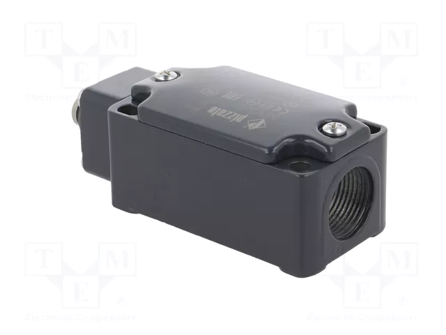 PIZZATO ELETTRICA Interruptor de fin de carrera NO + NC 10A PG13,5