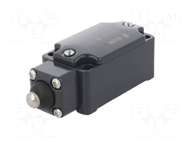 PIZZATO ELETTRICA Interruptor de fin de carrera NO + NC 10A PG13,5