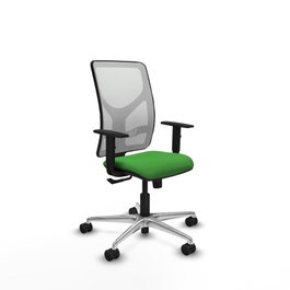 PIQUERAS Y CRESPO Silla de oficina Motilla con mecanismo Sincro, Verde y Blanco