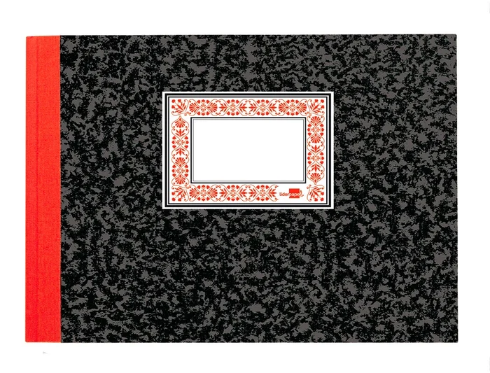 Liderpapel Cuaderno Cuarto Apaisado 100 Hojas Caja Entrada y Salida