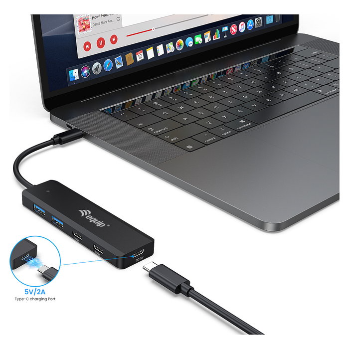 Equip Hub USB 3.2 Gen 1 con 2x USB-C y 2x USB-A Negro