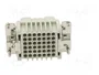 ILME Conector HDC CDD Hembra 42 PIN