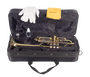 Trompeta Amadeus Profesional Trc800 En Do
