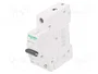 SCHNEIDER ELECTRIC Interruptor magnetotérmico K60N 20A 1P 6kA
