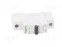 SCHNEIDER ELECTRIC Interruptor magnetotérmico K60N 20A 1P 6kA