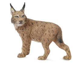 Collecta 88565 Réplica de Lince Salvaje, Pintada a Mano con Detalle, Alta Calidad, Animales Salvajes Miniatura, Edad +3 Años