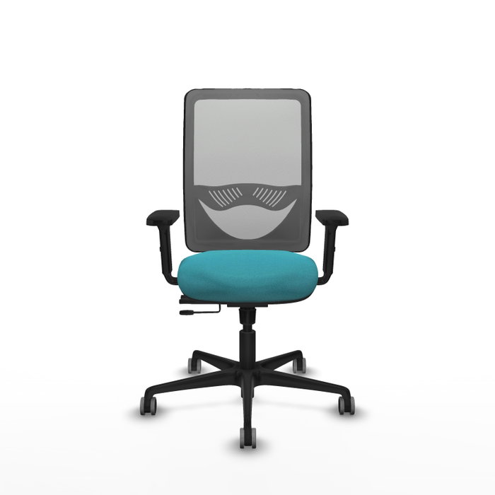 PIQUERAS Y CRESPO Silla de oficina Zulema con mecanismo Sincro/Traslack, Turquesa y Gris PIQUERAS Y CRESPO Silla de oficina Zulema con mecanismo Sincro/Traslack, Turquesa y Gris