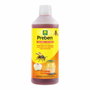 Massó Atrayente avispas concentrado, 500 ml