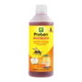 Massó Atrayente Concentrado para Avispas y Moscardones 500 ml | Exterior/Interior