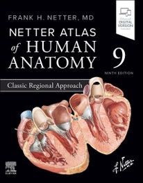 Netter Atlas of Human Anatomy: Classic Regional Approach/9th