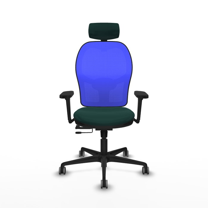 PIQUERAS Y CRESPO Silla de oficina Jorquera Sincro/Traslack Verde botella y Azul PIQUERAS Y CRESPO Silla de oficina Jorquera Sincro/Traslack Verde botella y Azul