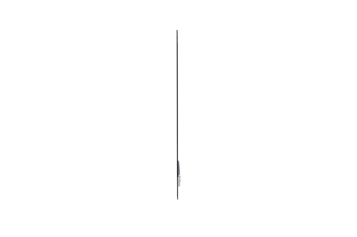LG Monitor OLED 55EW5G 55" Open Frame Transparente / webOS