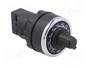 EMAS Potenciómetro Monovuelta 2kΩ 22mm IP65