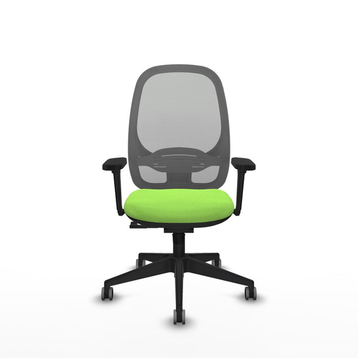 PIQUERAS Y CRESPO Silla de oficina Cilanco con mecanismo Sincro, Pistacho y Gris PIQUERAS Y CRESPO Silla de oficina Cilanco con mecanismo Sincro, Pistacho y Gris