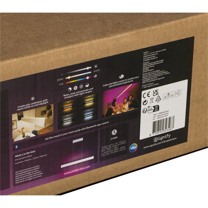 Philips Hue White & Color Ambiance Ensis Lámpara de Techo Inteligente Blanco Philips Hue White & Color Ambiance Ensis Lámpara de Techo Inteligente Blanco