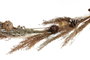 DKD Home Decor Ramo de Flores Secas Colgante Natural Surtido de 2