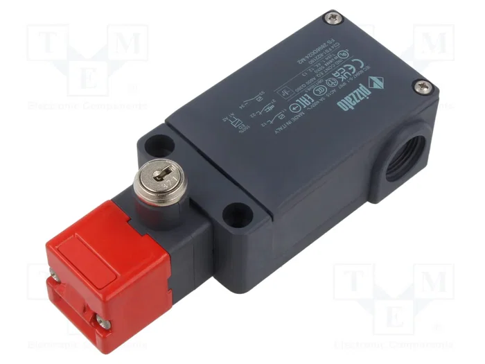PIZZATO ELETTRICA Interruptor de seguridad FS acerrojado IP66 24VDC PIZZATO ELETTRICA Interruptor de seguridad FS acerrojado IP66 24VDC