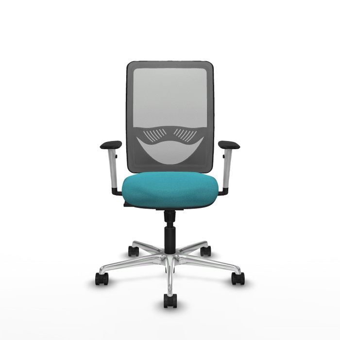 PIQUERAS Y CRESPO Silla de oficina Zulema con mecanismo Sincro, Tela Turquesa y Malla Gris PIQUERAS Y CRESPO Silla de oficina Zulema con mecanismo Sincro, Tela Turquesa y Malla Gris