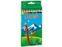 Alpino Lápices de Colores 654 Caja de 12 Colores Largos, Madera Hexagonal, Alta Calidad, Mina 3mm, Colores Vivos, Estuche Cartón