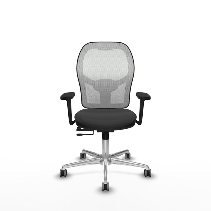 PIQUERAS Y CRESPO Silla de oficina Jorquera Gris oscuro y Blanco PIQUERAS Y CRESPO Silla de oficina Jorquera Gris oscuro y Blanco