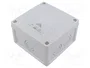 SPELSBERG ABOX-PRO-060 Caja de Conexiones Gris