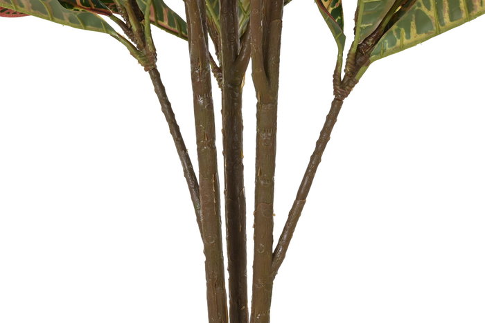 DKD Home Decor Planta Croton Verde y Marrón 50x50x140 cm