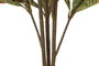 DKD Home Decor Planta Croton Verde y Marrón 50x50x140 cm