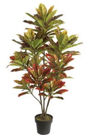 DKD Home Decor Planta Croton Verde y Marrón 50x50x140 cm