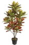DKD Home Decor Planta Croton Verde y Marrón 50x50x140 cm