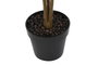 DKD Home Decor Planta Croton Verde y Marrón 50x50x140 cm