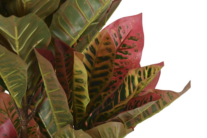 DKD Home Decor Planta Croton Verde y Marrón 50x50x140 cm