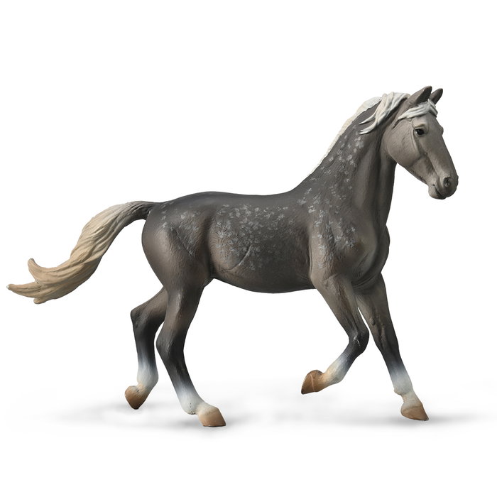 COLLECTA Oryol Mare Gris Oscuro - XL COLLECTA Oryol Mare Gris Oscuro - XL