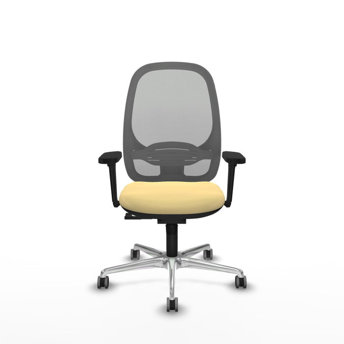 PIQUERAS Y CRESPO Silla de oficina Cilanco con mecanismo Sincro, Crema y Gris PIQUERAS Y CRESPO Silla de oficina Cilanco con mecanismo Sincro, Crema y Gris