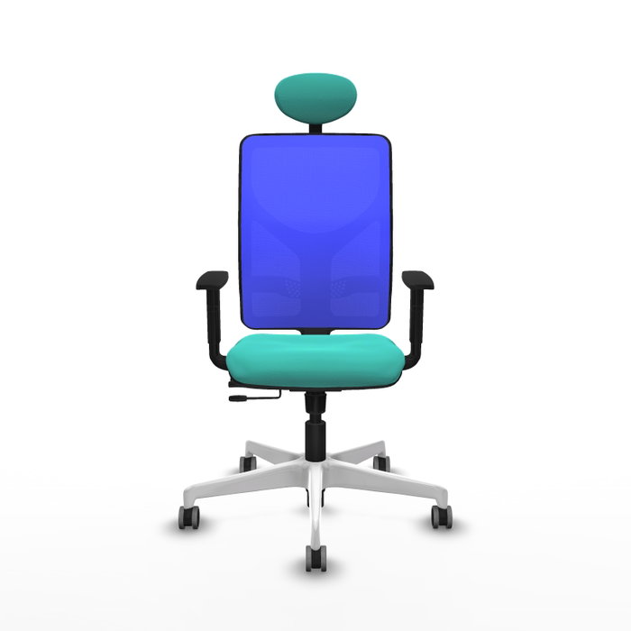 PIQUERAS Y CRESPO Silla de oficina Motilla con mecanismo Sincro/Traslack, Azul y Turquesa PIQUERAS Y CRESPO Silla de oficina Motilla con mecanismo Sincro/Traslack, Azul y Turquesa