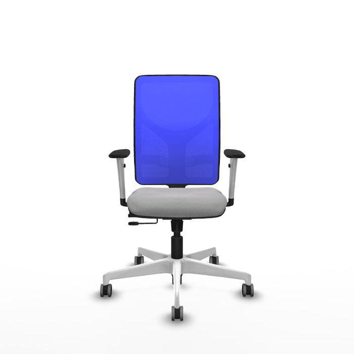 PIQUERAS Y CRESPO Silla de oficina Motilla con mecanismo Sincro/Traslack, Gris claro y Azul PIQUERAS Y CRESPO Silla de oficina Motilla con mecanismo Sincro/Traslack, Gris claro y Azul