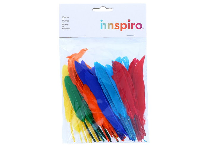 Innspiro Plumas indio mix colores 60u.