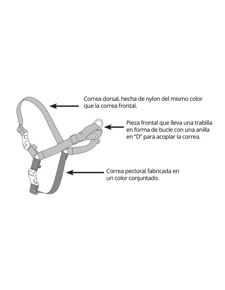 Petsafe Arnés Rojo Easy Walk Pequeño para Perros Anti-Tirones con Correa