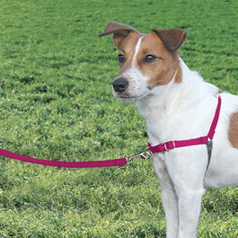Petsafe Easy Walk Arnés Pequeño Rojo