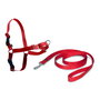 Petsafe Arnés Rojo Easy Walk Pequeño para Perros Anti-Tirones con Correa