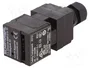 SCHMERSAL AZ 17 Interruptor de seguridad a llave NC x2 IP67