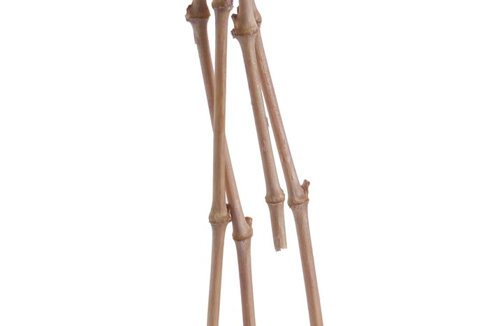 DKD Home Decor Ramo de Flores Preservada Gysophila Bola 50gr Surtido de 3