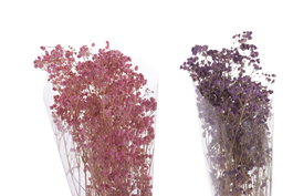 DKD Home Decor Ramo de Flores Preservada Gysophila Bola 50gr Surtido de 3