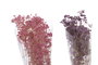 DKD Home Decor Ramo de Flores Preservada Gysophila Bola 50gr Surtido de 3